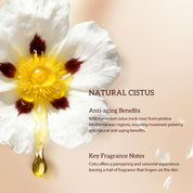 Cápsulas de Suero de Retinol Bakuchiol HKH: 30 Dosis Única de Suero Antienvejecimiento para Arrugas con HPR y Vitamina C para Mujeres de 25 a 55 Años - Mejora Arrugas y Manchas Oscuras - Reafirmante, Suavizante e Hidratante - Amigable para Viajes